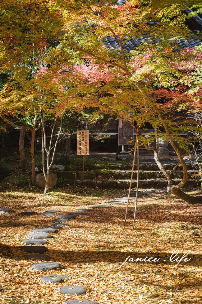 高知県高知市五台山3577 四國高知 四國自駕 四國旅遊 四國高知景點 ​四國遍路第31號靈場 五台山竹林寺 牧野植物園 四國靈場 潔妮食旅生活