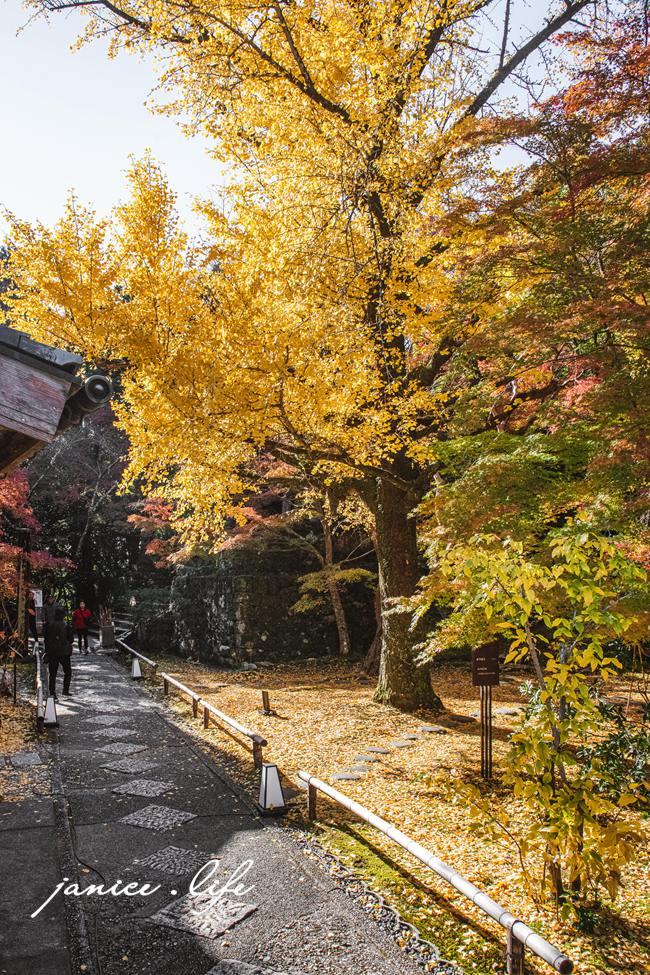 高知県高知市五台山3577 四國高知 四國自駕 四國旅遊 四國高知景點 ​四國遍路第31號靈場 五台山竹林寺 牧野植物園 四國靈場 潔妮食旅生活