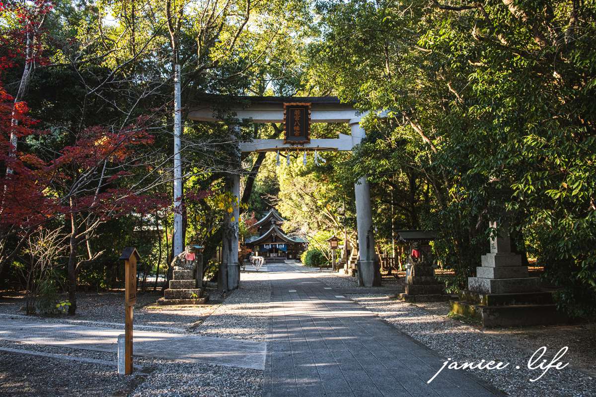 若宮八幡宮高知御朱印 御朱印 若宮八幡宮 四國高知景點 高知市長浜6600番地 若宮八幡宮交通 四國高知旅遊 四國自駕 四國自由行 日本自駕 日本自由行 潔妮食旅生活 長宗我部元親