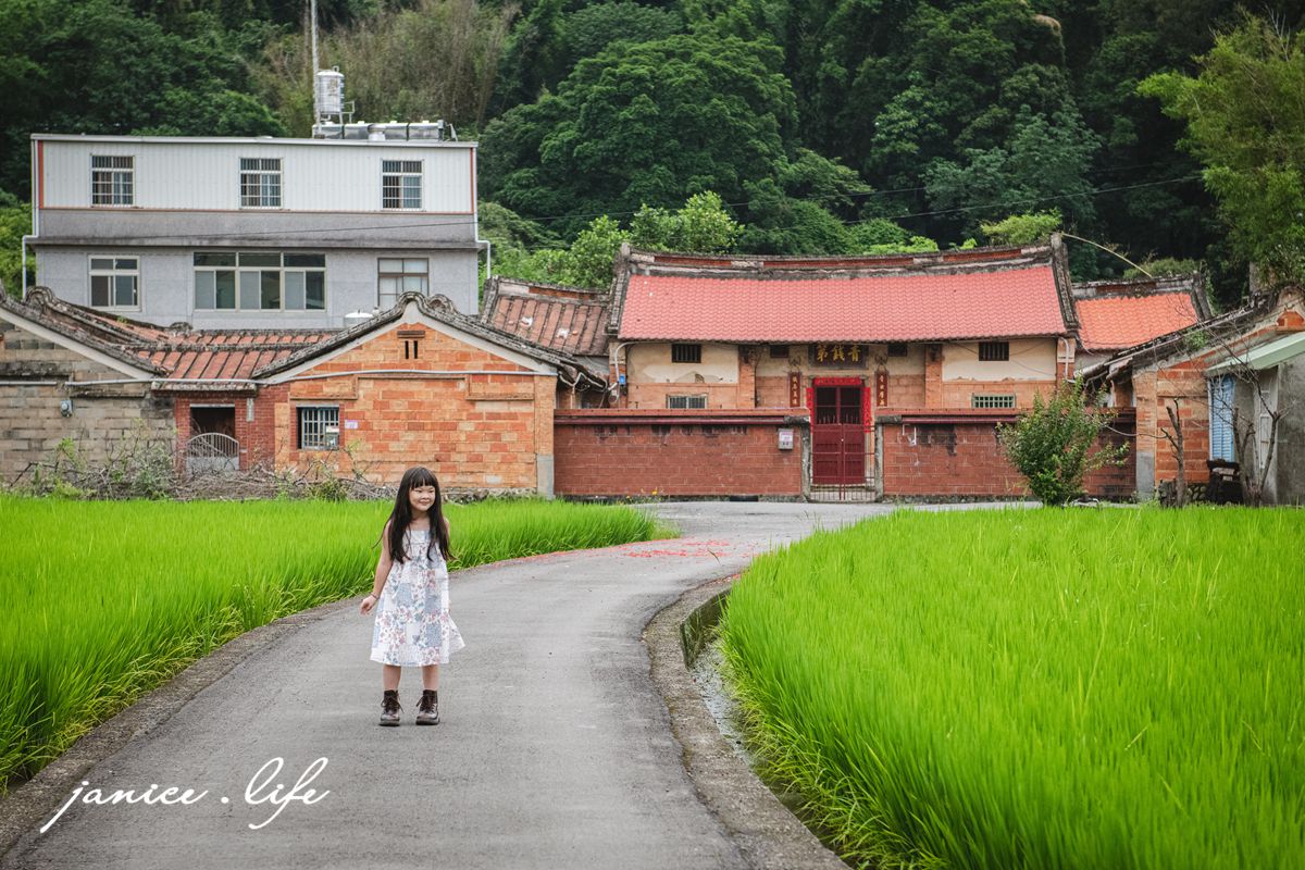 桃園龍潭景點 三坑老街 桃園龍潭旅遊 三坑老街停車 黑白洗 龍潭永福宮 榮興商店挫冰豆花 三坑老街無名蘿蔔糕 阿水師手作麻糬 三坑老街稻田 潔妮食旅生活 親子景點 親子旅遊 桃園市龍潭區三坑老街45號 