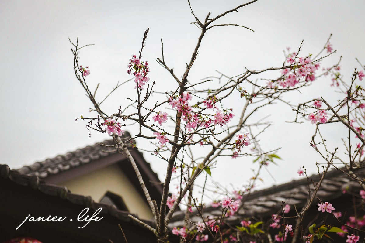 宜蘭員山景點 宜蘭員山旅遊 宜蘭景點 宜蘭旅遊 北后寺 宜蘭縣員山鄉八甲路4號 泥塑大佛 北后寺停車 潔妮食旅生活 