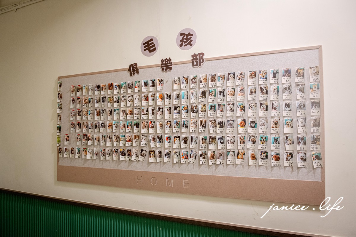 拾青春Legumes 桃園市中壢區中央西路二段34號 拾青春菜單 拾青春停車 中壢約會餐廳 中壢餐廳推薦 潔妮食旅生活 拾青春低消 中壢美食 地中海料理 儀式感 中壢寵物友善餐廳 