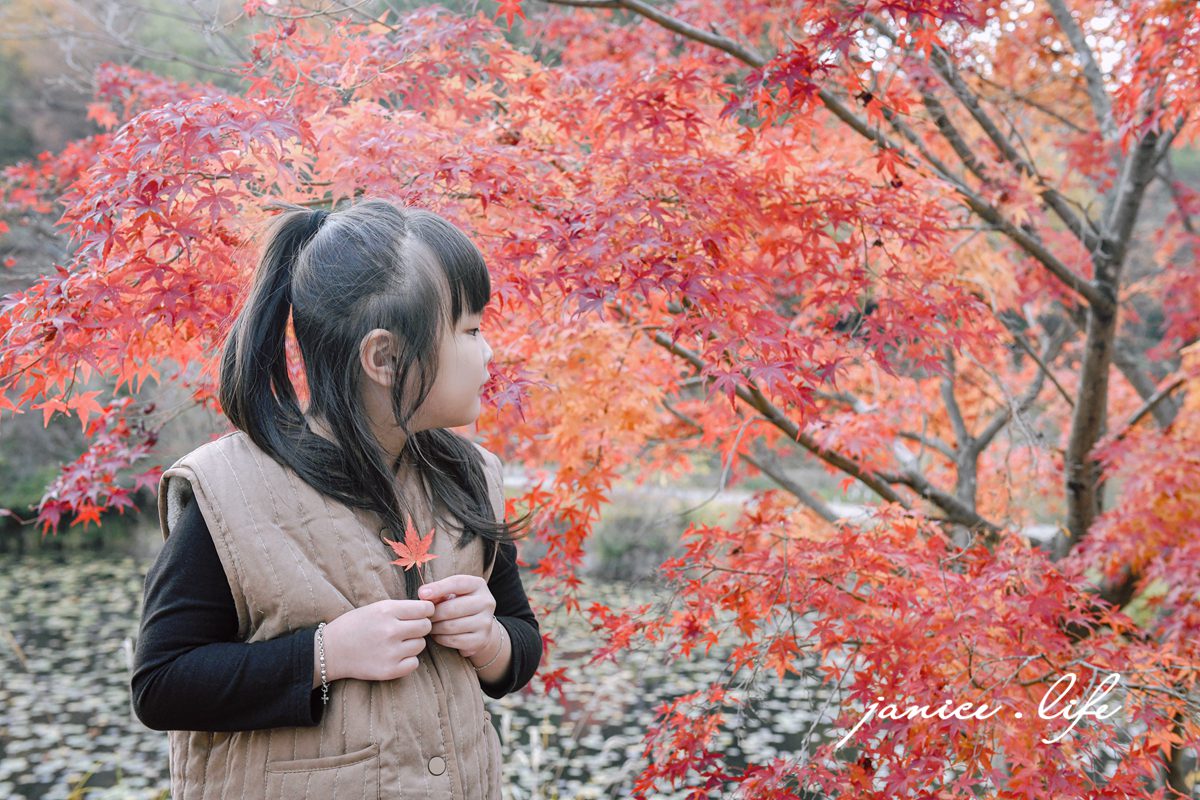 日本自由行 日本自駕 四國自由行 四國自駕 日本四國行程規劃 潔妮食旅生活 日本四國景點推薦 日本四國美食餐廳推薦 日本四國住宿飯店 日本四國租車 日本四國網路 日本岡山龍泉寺 岡山市北区下足守９００ 最上本山御瀧龍泉寺 龍泉寺御朱印 https://ryusenji.jpn.org/ 日本岡山賞楓 日本賞楓勝地 龍泉寺停車 龍泉寺賞楓