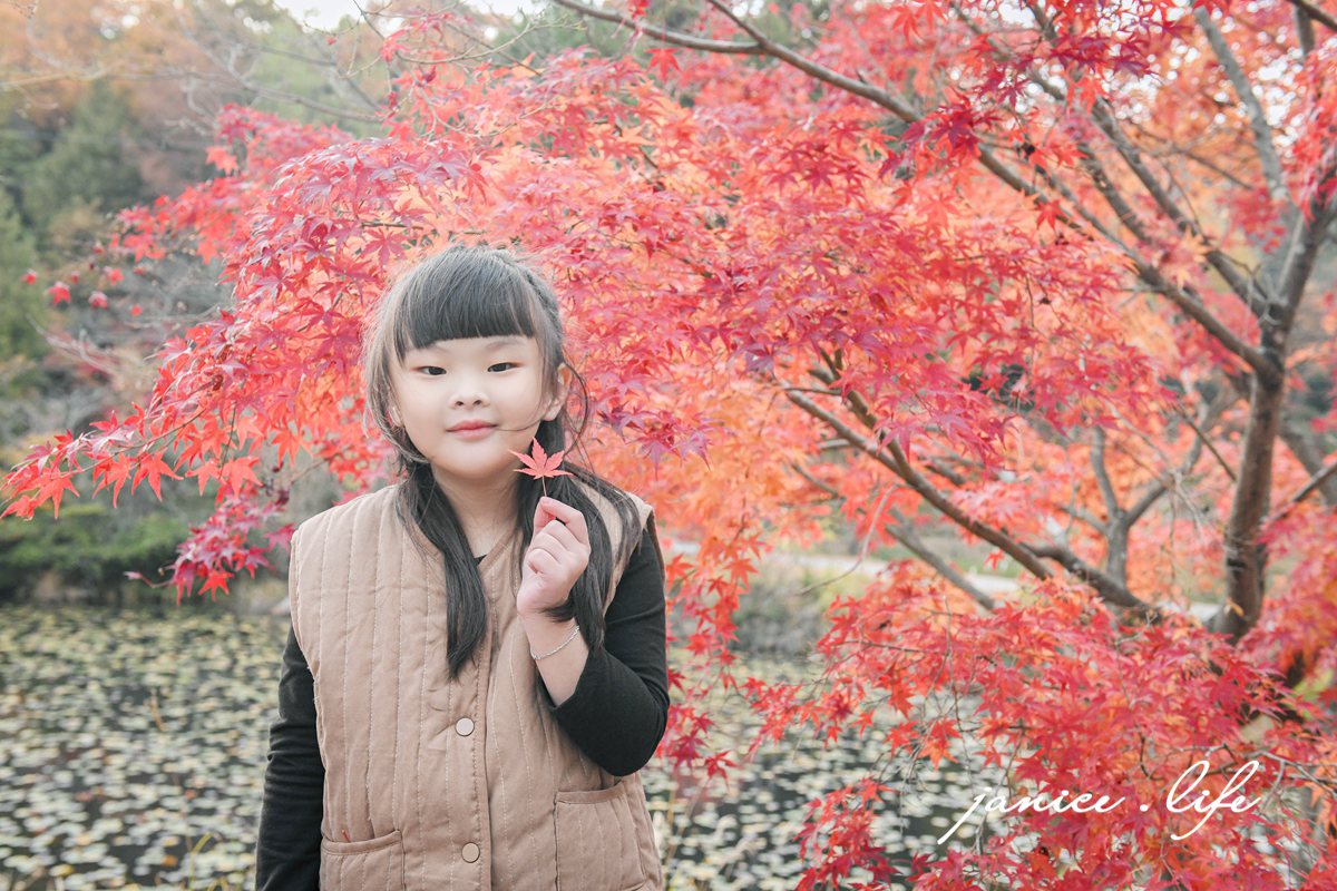 日本自由行 日本自駕 四國自由行 四國自駕 日本四國行程規劃 潔妮食旅生活 日本四國景點推薦 日本四國美食餐廳推薦 日本四國住宿飯店 日本四國租車 日本四國網路 日本岡山龍泉寺 岡山市北区下足守９００ 最上本山御瀧龍泉寺 龍泉寺御朱印 https://ryusenji.jpn.org/ 日本岡山賞楓 日本賞楓勝地 龍泉寺停車 龍泉寺賞楓