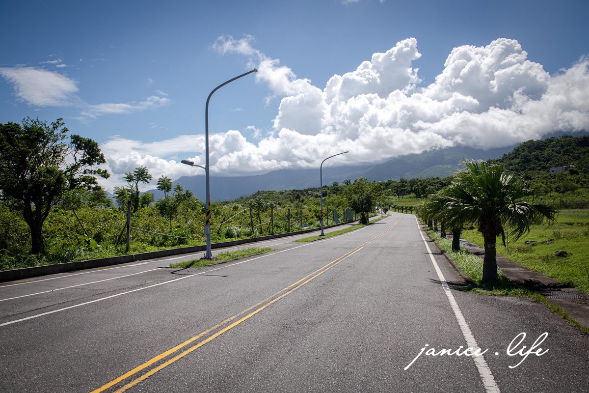 台東成功景點 芝田路水牛 台東芝田路牛牛 台東縣成功鎮芝田路 潔妮食旅生活 看牛