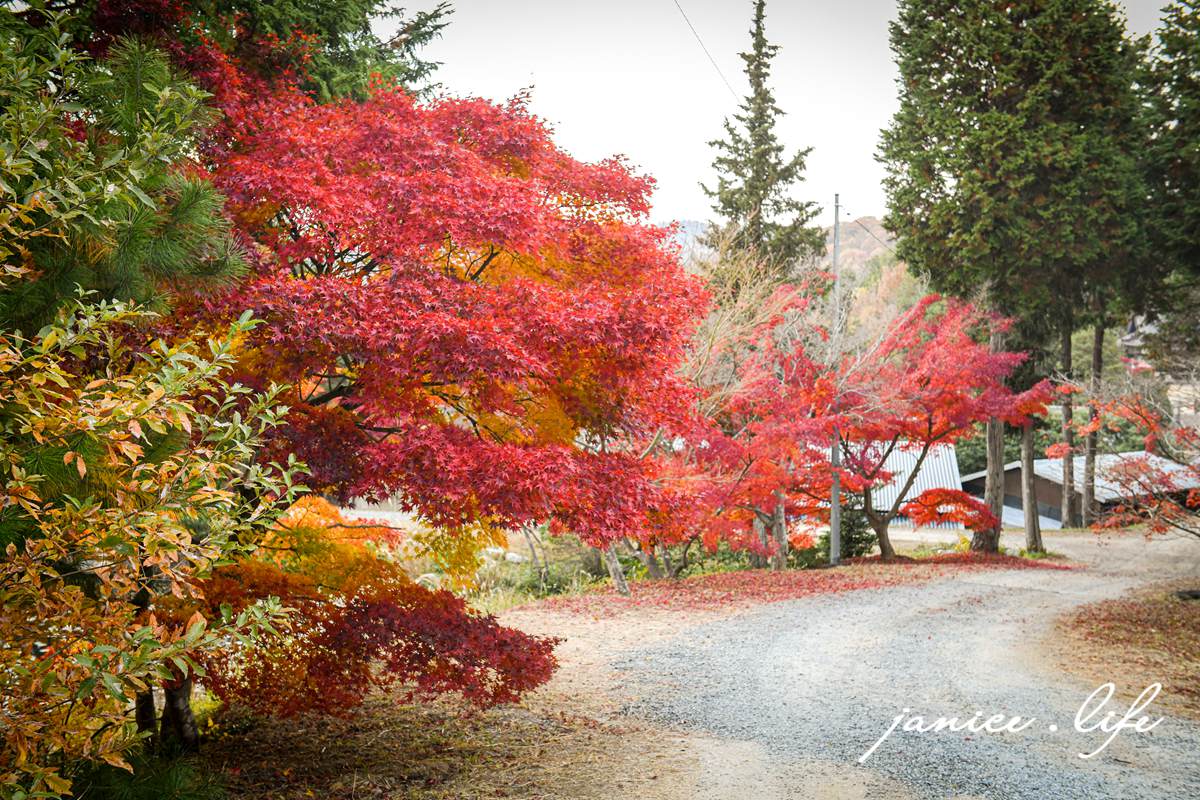 日本自由行 日本自駕 四國自由行 四國自駕 日本四國行程規劃 潔妮食旅生活 日本四國景點推薦 日本四國美食餐廳推薦 日本四國住宿飯店 日本四國租車 日本四國網路 日本岡山龍泉寺 岡山市北区下足守９００ 最上本山御瀧龍泉寺 龍泉寺御朱印 https://ryusenji.jpn.org/ 日本岡山賞楓 日本賞楓勝地 龍泉寺停車 龍泉寺賞楓