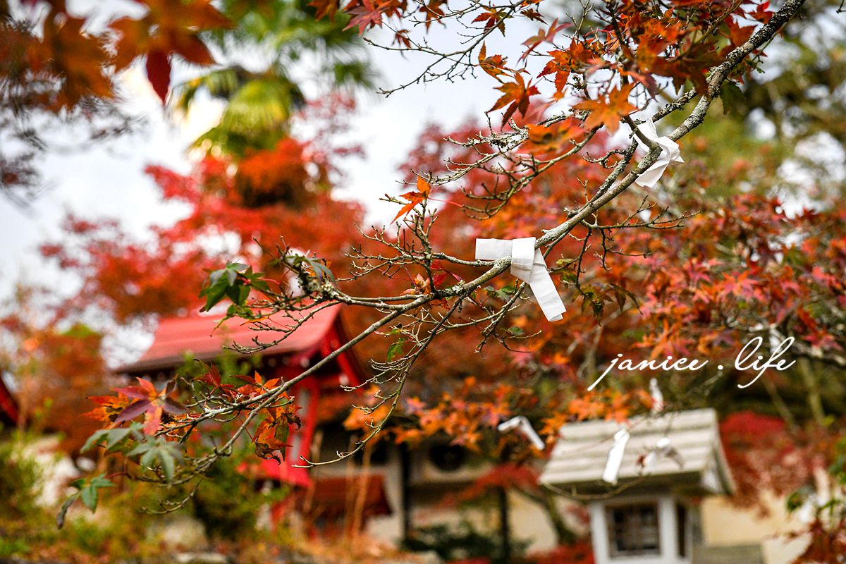 日本自由行 日本自駕 四國自由行 四國自駕 日本四國行程規劃 潔妮食旅生活 日本四國景點推薦 日本四國美食餐廳推薦 日本四國住宿飯店 日本四國租車 日本四國網路 日本岡山龍泉寺 岡山市北区下足守９００ 最上本山御瀧龍泉寺 龍泉寺御朱印 https://ryusenji.jpn.org/ 日本岡山賞楓 日本賞楓勝地 龍泉寺停車 龍泉寺賞楓