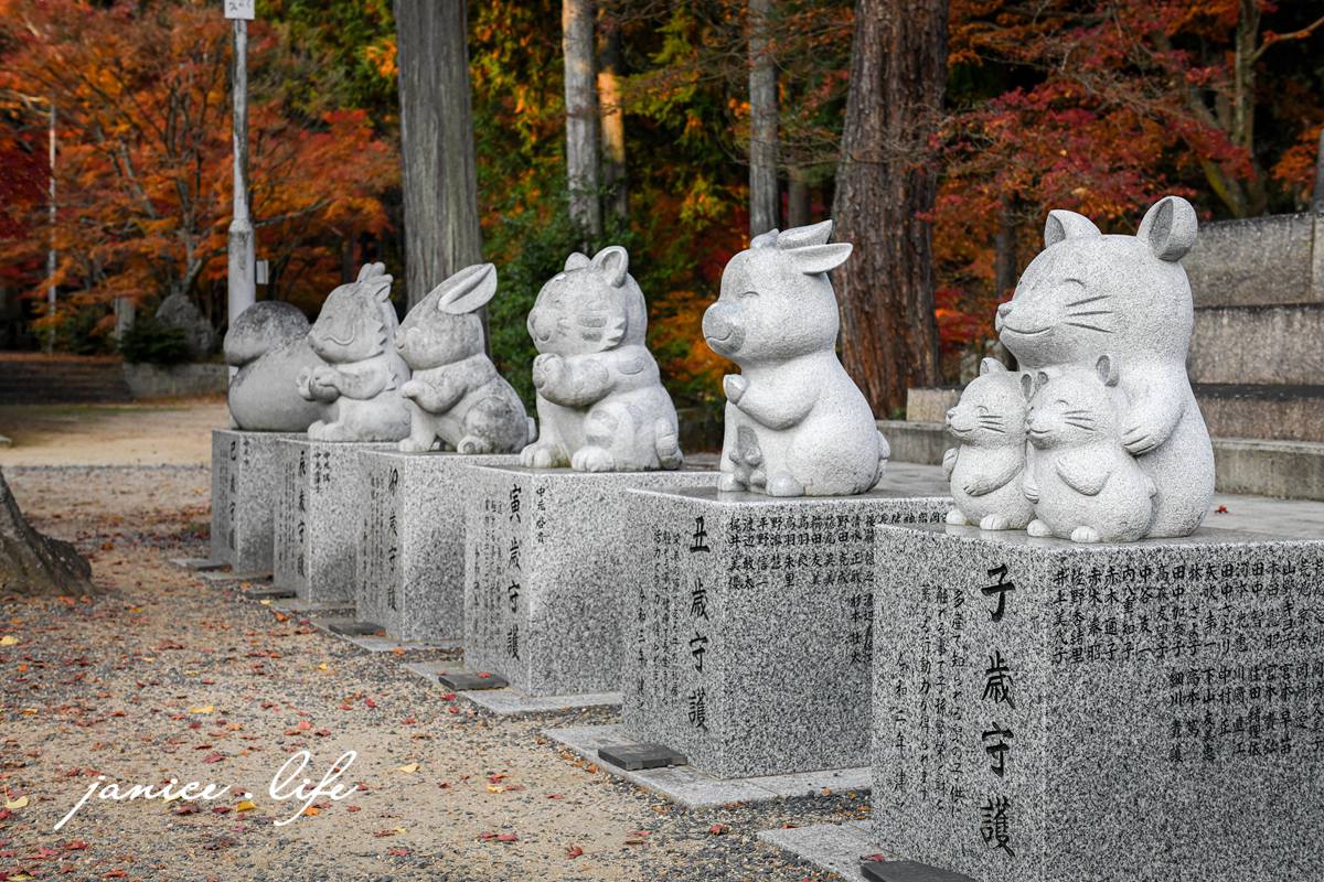 日本自由行 日本自駕 四國自由行 四國自駕 日本四國行程規劃 潔妮食旅生活 日本四國景點推薦 日本四國美食餐廳推薦 日本四國住宿飯店 日本四國租車 日本四國網路 日本岡山龍泉寺 岡山市北区下足守９００ 最上本山御瀧龍泉寺 龍泉寺御朱印 https://ryusenji.jpn.org/ 日本岡山賞楓 日本賞楓勝地 龍泉寺停車 龍泉寺賞楓