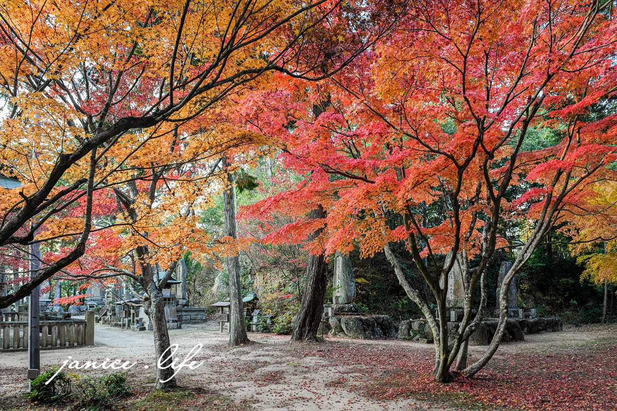 日本自由行 日本自駕 四國自由行 四國自駕 日本四國行程規劃 潔妮食旅生活 日本四國景點推薦 日本四國美食餐廳推薦 日本四國住宿飯店 日本四國租車 日本四國網路 日本岡山龍泉寺 岡山市北区下足守９００ 最上本山御瀧龍泉寺 龍泉寺御朱印 https://ryusenji.jpn.org/ 日本岡山賞楓 日本賞楓勝地 龍泉寺停車 龍泉寺賞楓