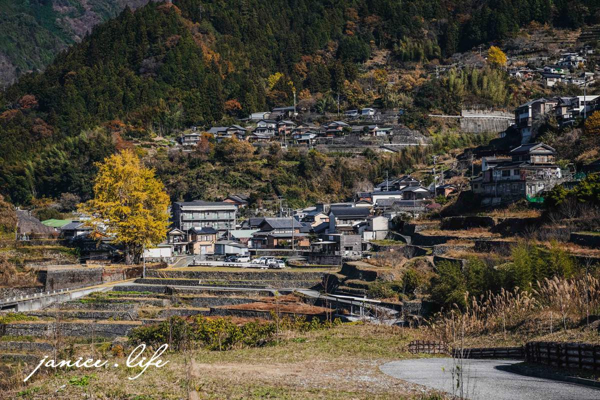 日本自由行 日本自駕 四國自由行 四國自駕 日本四國行程規劃 潔妮食旅生活 日本四國景點推薦 日本四國美食餐廳推薦 日本四國住宿飯店 長者の大銀杏