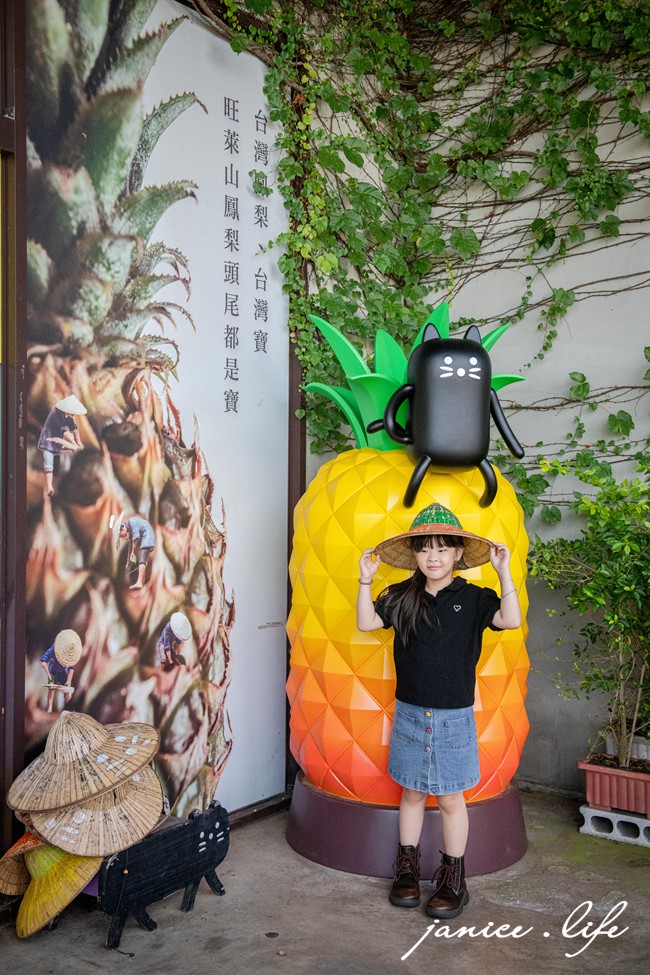 嘉義景點 嘉義縣民雄鄉1-3號 嘉義民雄景點 旺萊山鳳梨文化園區 鳳梨酥試吃 鳳梨小知識 旺萊山-鳳梨文化園區地址 旺萊山-鳳梨文化園區門票 旺萊山-鳳梨文化園區停車 潔妮食旅生活 嘉義旅遊 嘉義美食 鳳梨酥推薦 鳳梨酥
