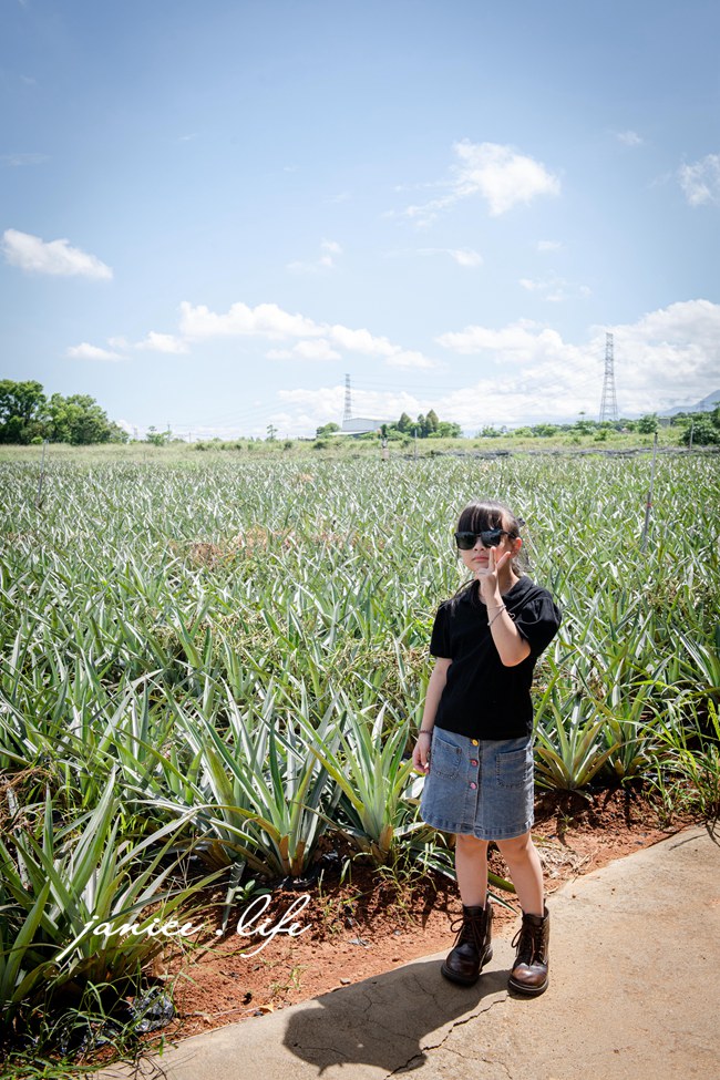 嘉義景點 嘉義縣民雄鄉1-3號 嘉義民雄景點 旺萊山鳳梨文化園區 鳳梨酥試吃 鳳梨小知識 旺萊山-鳳梨文化園區地址 旺萊山-鳳梨文化園區門票 旺萊山-鳳梨文化園區停車 潔妮食旅生活 嘉義旅遊 嘉義美食 鳳梨酥推薦 鳳梨酥