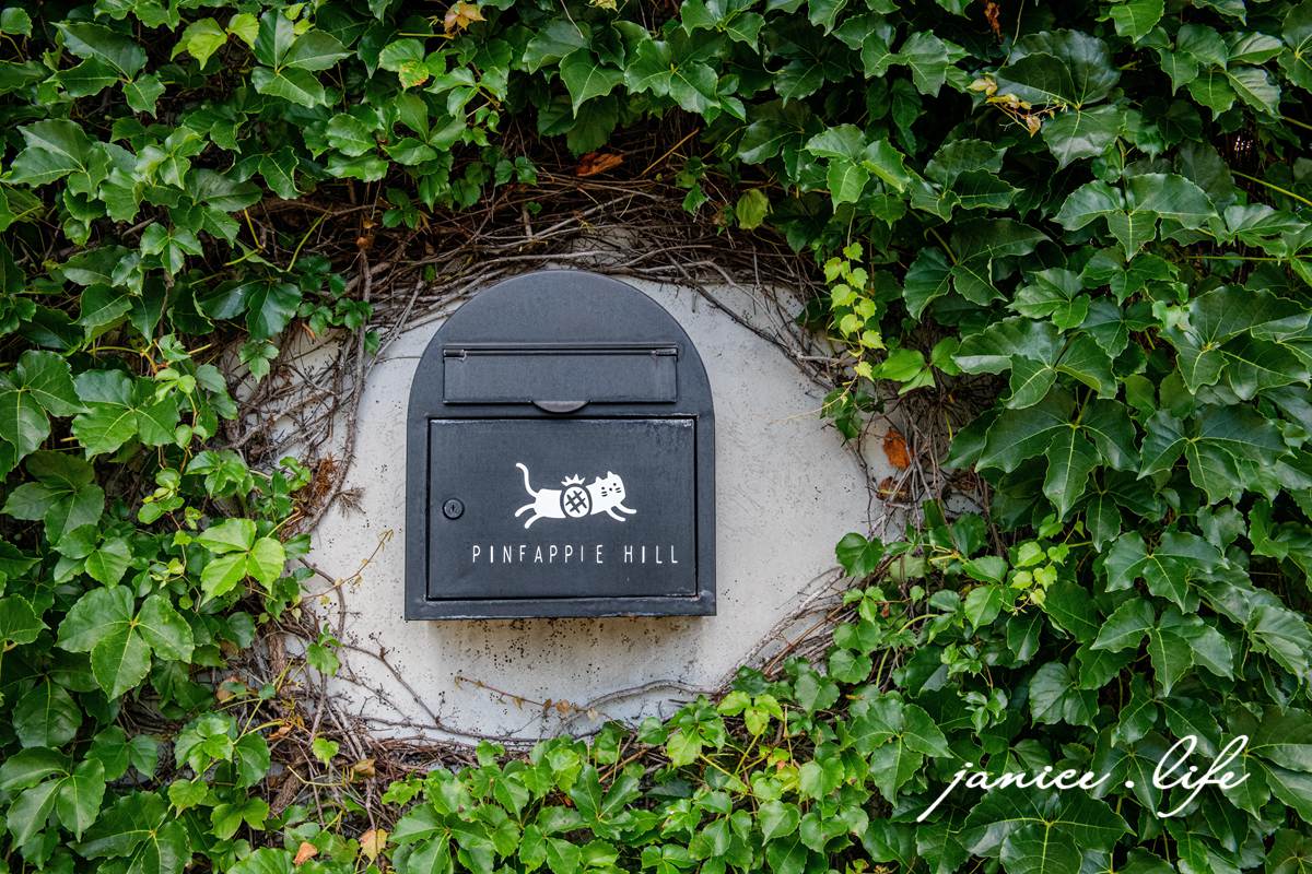 嘉義景點 嘉義縣民雄鄉1-3號 嘉義民雄景點 旺萊山鳳梨文化園區 鳳梨酥試吃 鳳梨小知識 旺萊山-鳳梨文化園區地址 旺萊山-鳳梨文化園區門票 旺萊山-鳳梨文化園區停車 潔妮食旅生活 嘉義旅遊 嘉義美食 鳳梨酥推薦 鳳梨酥