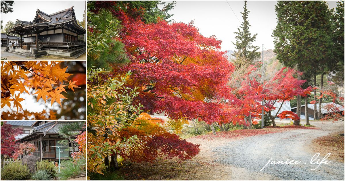 日本自由行 日本自駕 四國自由行 四國自駕 日本四國行程規劃 潔妮食旅生活 日本四國景點推薦 日本四國美食餐廳推薦 日本四國住宿飯店 日本四國租車 日本四國網路 日本岡山龍泉寺 岡山市北区下足守９００ 最上本山御瀧龍泉寺 龍泉寺御朱印 https://ryusenji.jpn.org/ 日本岡山賞楓 日本賞楓勝地 龍泉寺停車 龍泉寺賞楓