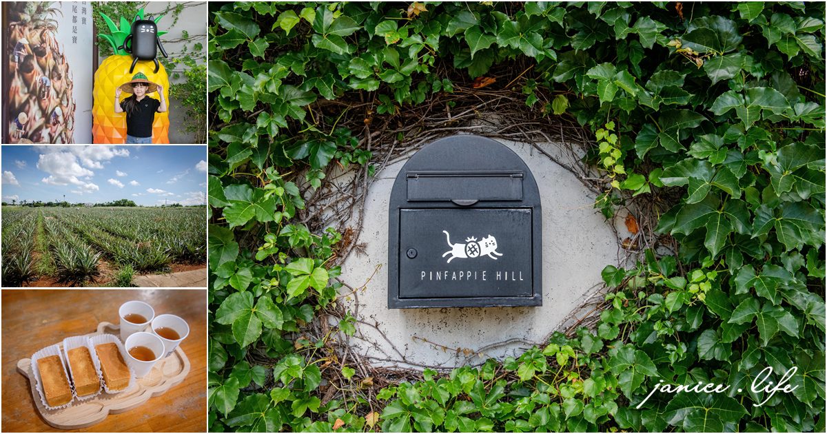 嘉義景點 嘉義縣民雄鄉1-3號 嘉義民雄景點 旺萊山鳳梨文化園區 鳳梨酥試吃 鳳梨小知識 旺萊山-鳳梨文化園區地址 旺萊山-鳳梨文化園區門票 旺萊山-鳳梨文化園區停車 潔妮食旅生活 嘉義旅遊 嘉義美食 鳳梨酥推薦 鳳梨酥