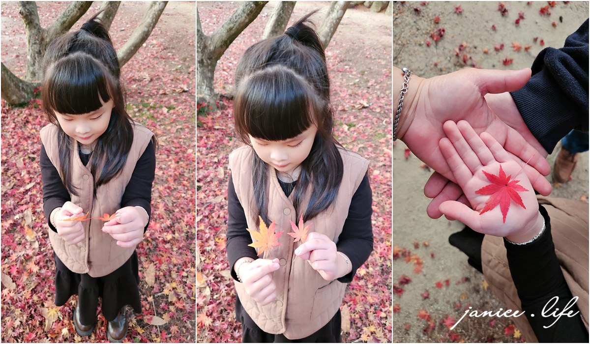 日本自由行 日本自駕 四國自由行 四國自駕 日本四國行程規劃 潔妮食旅生活 日本四國景點推薦 日本四國美食餐廳推薦 日本四國住宿飯店 日本四國租車 日本四國網路 日本岡山龍泉寺 岡山市北区下足守９００ 最上本山御瀧龍泉寺 龍泉寺御朱印 https://ryusenji.jpn.org/ 日本岡山賞楓 日本賞楓勝地 龍泉寺停車 龍泉寺賞楓