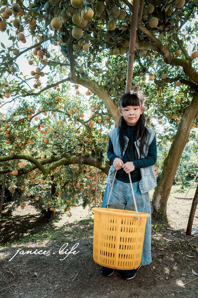 新竹景點|月眉柑園|一起採橘子|現場橘子任你吃|入園費只要50元 - 第11張圖 月眉柑園 新竹景點 新竹旅遊 新竹採橘子 新竹縣峨眉鄉石井村三鄰41-1號 潔妮食旅生活 月眉柑園橘子價目表 新竹峨嵋景點 新竹峨嵋旅遊 親子景點 新竹親子景點