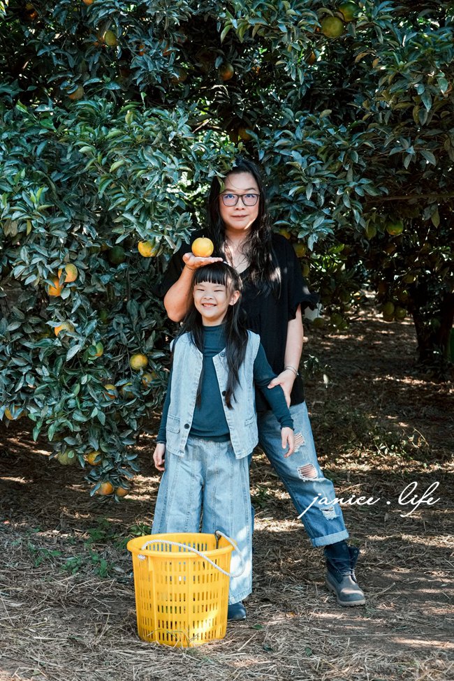 新竹景點|月眉柑園|一起採橘子|現場橘子任你吃|入園費只要50元 - 第30張圖 月眉柑園 新竹景點 新竹旅遊 新竹採橘子 新竹縣峨眉鄉石井村三鄰41-1號 潔妮食旅生活 月眉柑園橘子價目表 新竹峨嵋景點 新竹峨嵋旅遊 親子景點 新竹親子景點