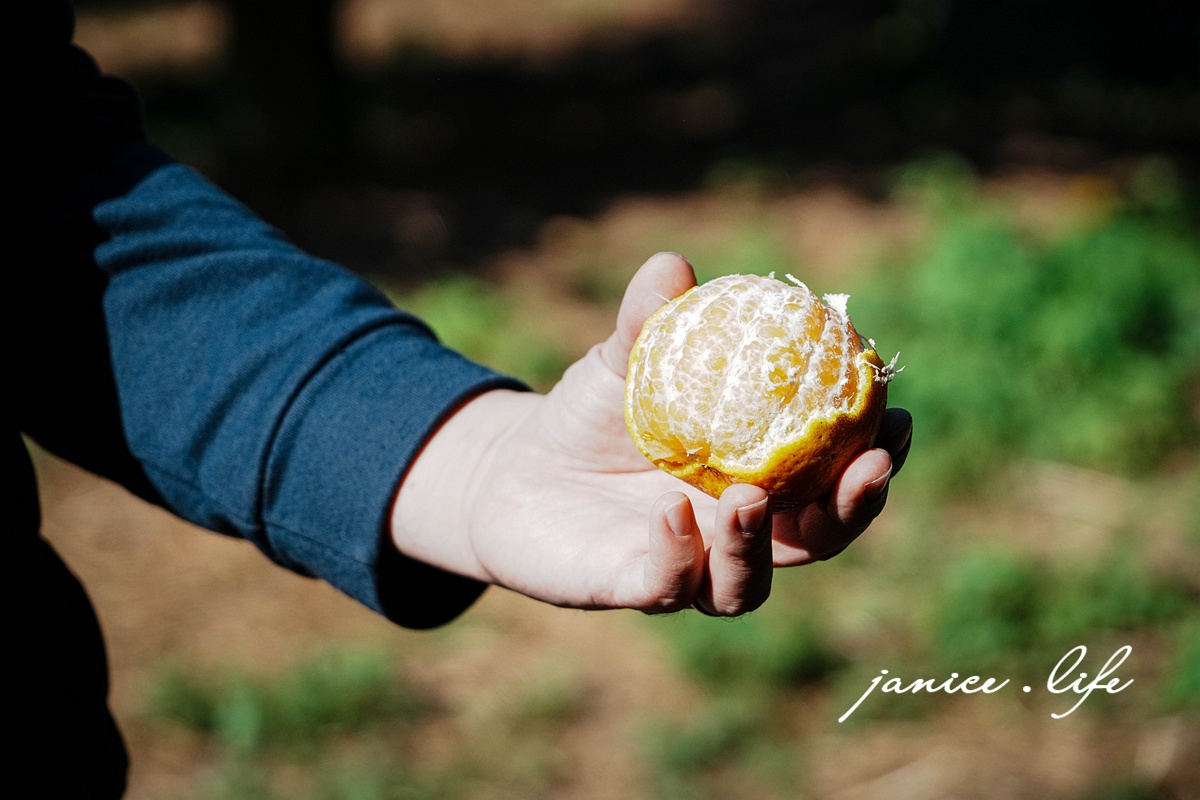 月眉柑園 新竹景點 新竹旅遊 新竹採橘子 新竹縣峨眉鄉石井村三鄰41-1號 潔妮食旅生活 月眉柑園橘子價目表 新竹峨嵋景點 新竹峨嵋旅遊 親子景點 新竹親子景點