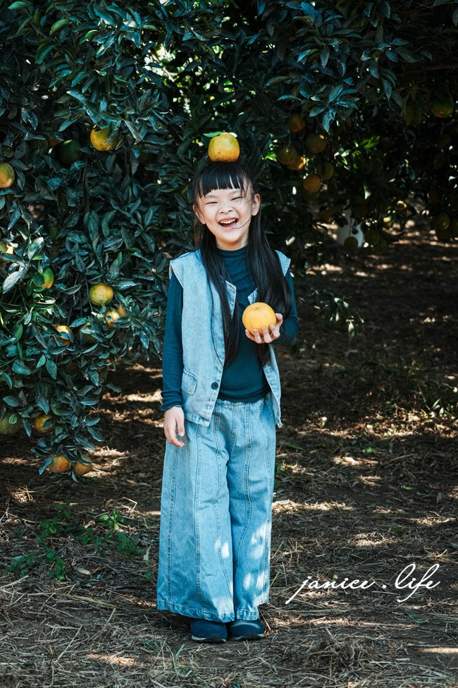 月眉柑園 新竹景點 新竹旅遊 新竹採橘子 新竹縣峨眉鄉石井村三鄰41-1號 潔妮食旅生活 月眉柑園橘子價目表 新竹峨嵋景點 新竹峨嵋旅遊 親子景點 新竹親子景點