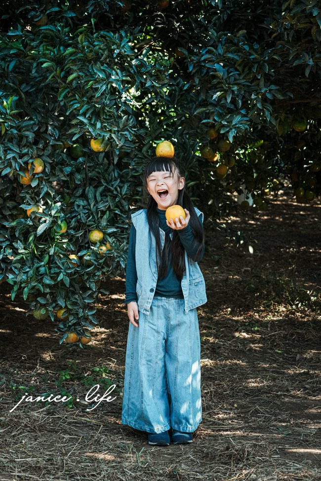 新竹景點｜月眉柑園｜一起採橘子｜現場橘子任你吃｜入園費只要50元