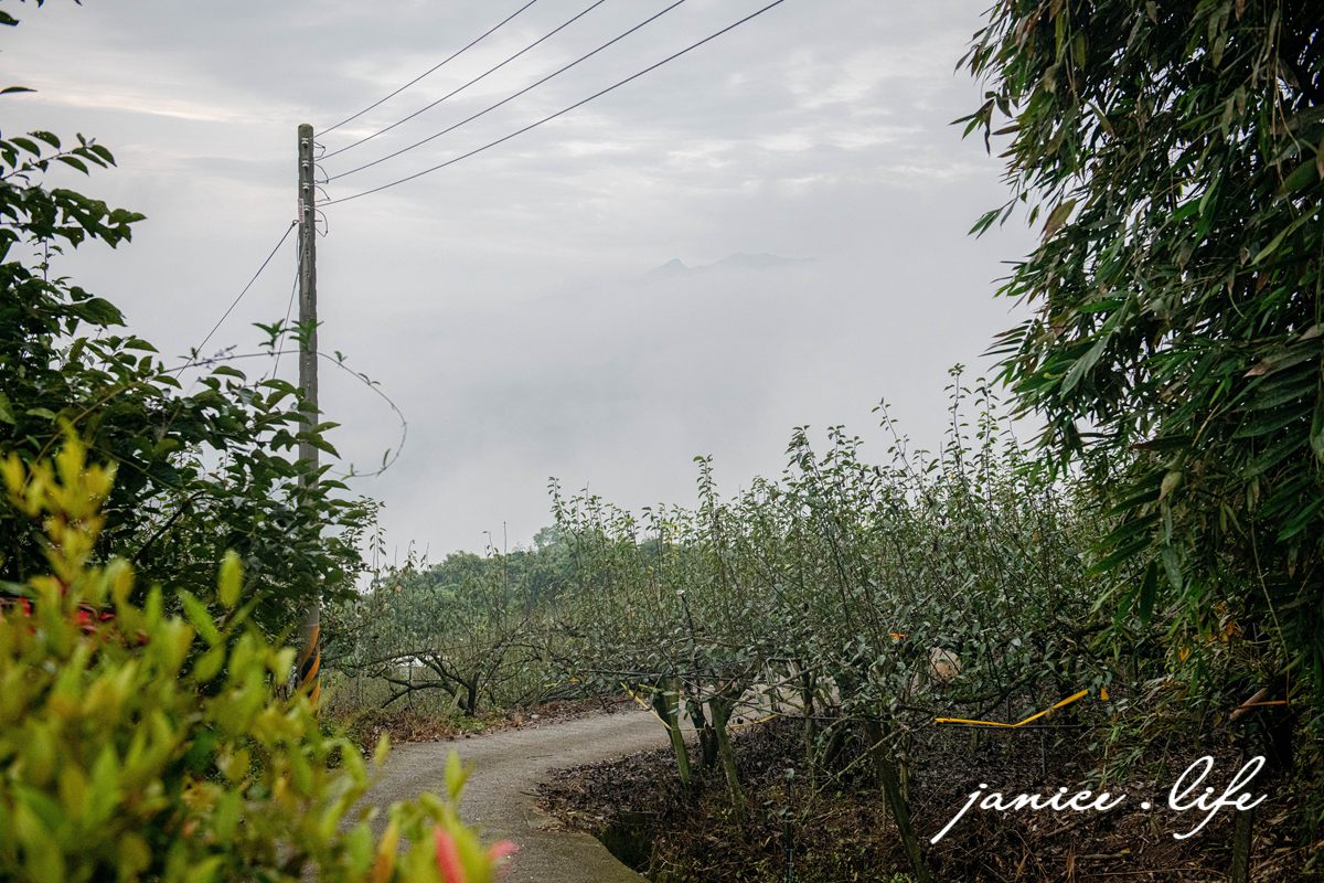 大雪山喜樂之地露營區 臺中市東勢區東坑路978-6號 大雪山喜樂之地露營區相片 大雪山喜樂之地露營區費用 大雪山喜樂之地露營區交通 大雪山喜樂之地露營區環境 台中露營 露營地推薦 露營包場推薦 潔妮食旅生活 台中旅遊 