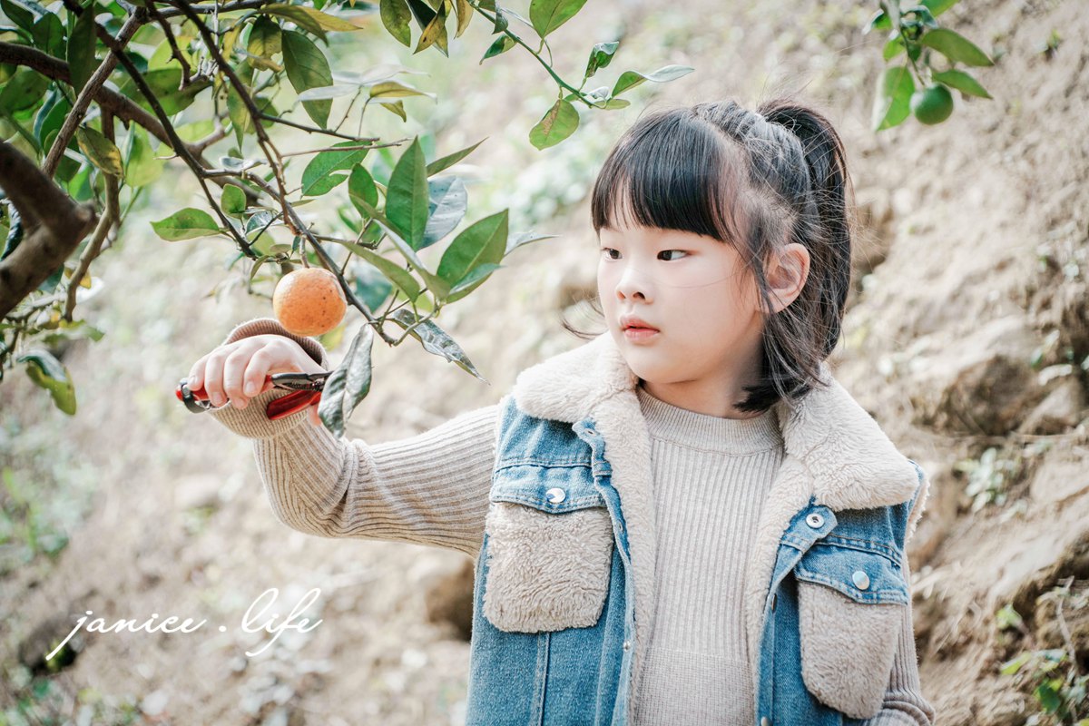 新竹景點 上瑞柑橘觀光果園 新竹橘子 新竹橘子園 新竹縣竹東鎮瑞峰里一鄰一號 新竹橘子品種 新竹砂糖橘 桶柑 海梨柑 茂谷柑 椪柑 潔妮食旅生活