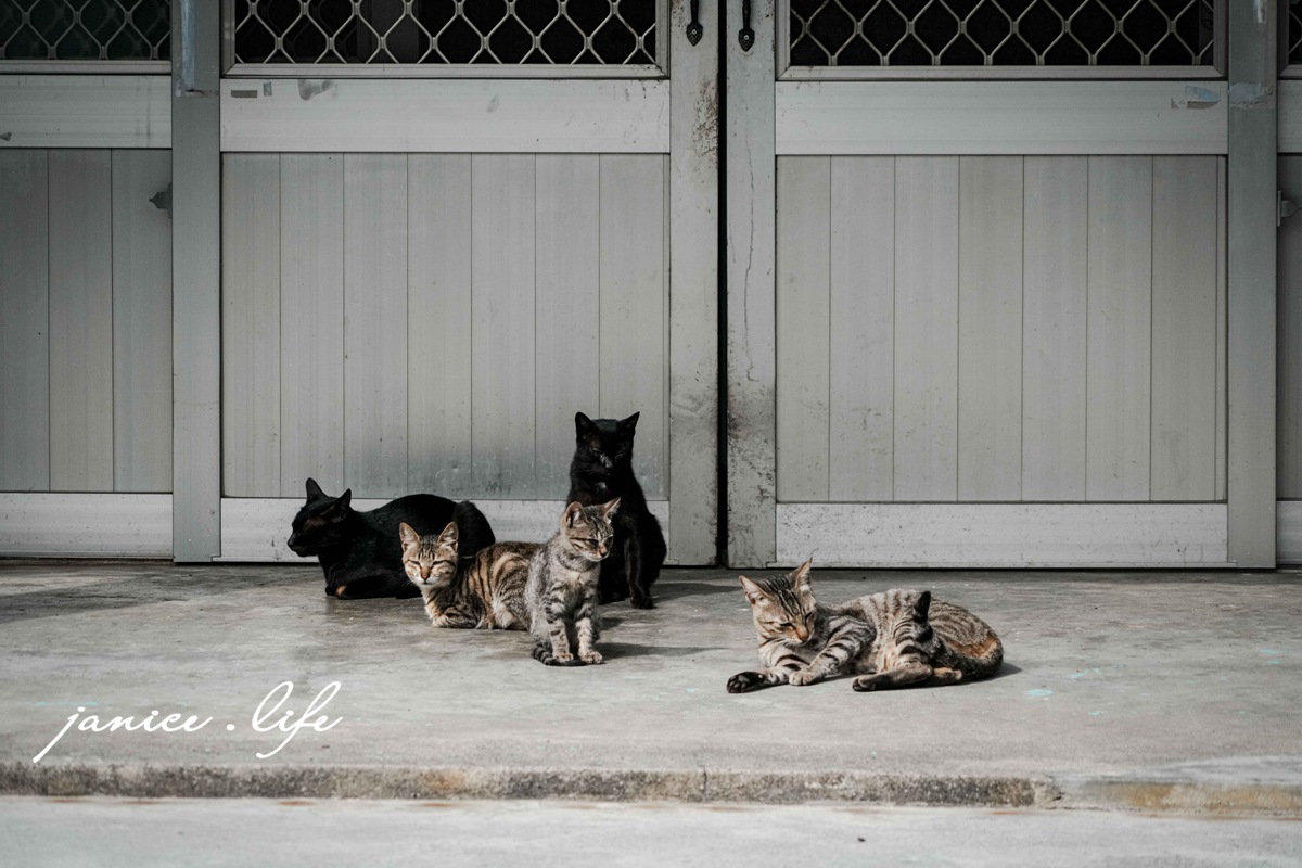 用九柑仔店拍攝現場 嘉義景點 嘉義縣六腳鄉潭墘村90號 嘉義六腳景點 嘉義旅遊 存德中藥房 茄芷袋 彈珠汽 古早零食 柑仔店 潔妮食旅生活 親子旅遊 親子景點 嘉義親子景點
