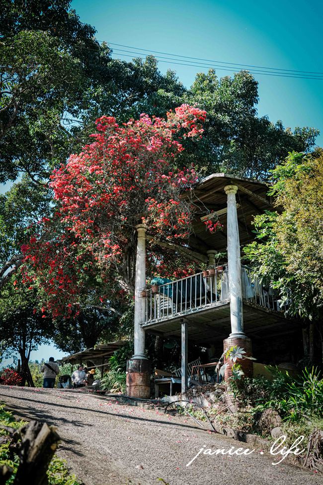 新竹景點 上瑞柑橘觀光果園 新竹橘子 新竹橘子園 新竹縣竹東鎮瑞峰里一鄰一號 新竹橘子品種 新竹砂糖橘 桶柑 海梨柑 茂谷柑 椪柑 潔妮食旅生活