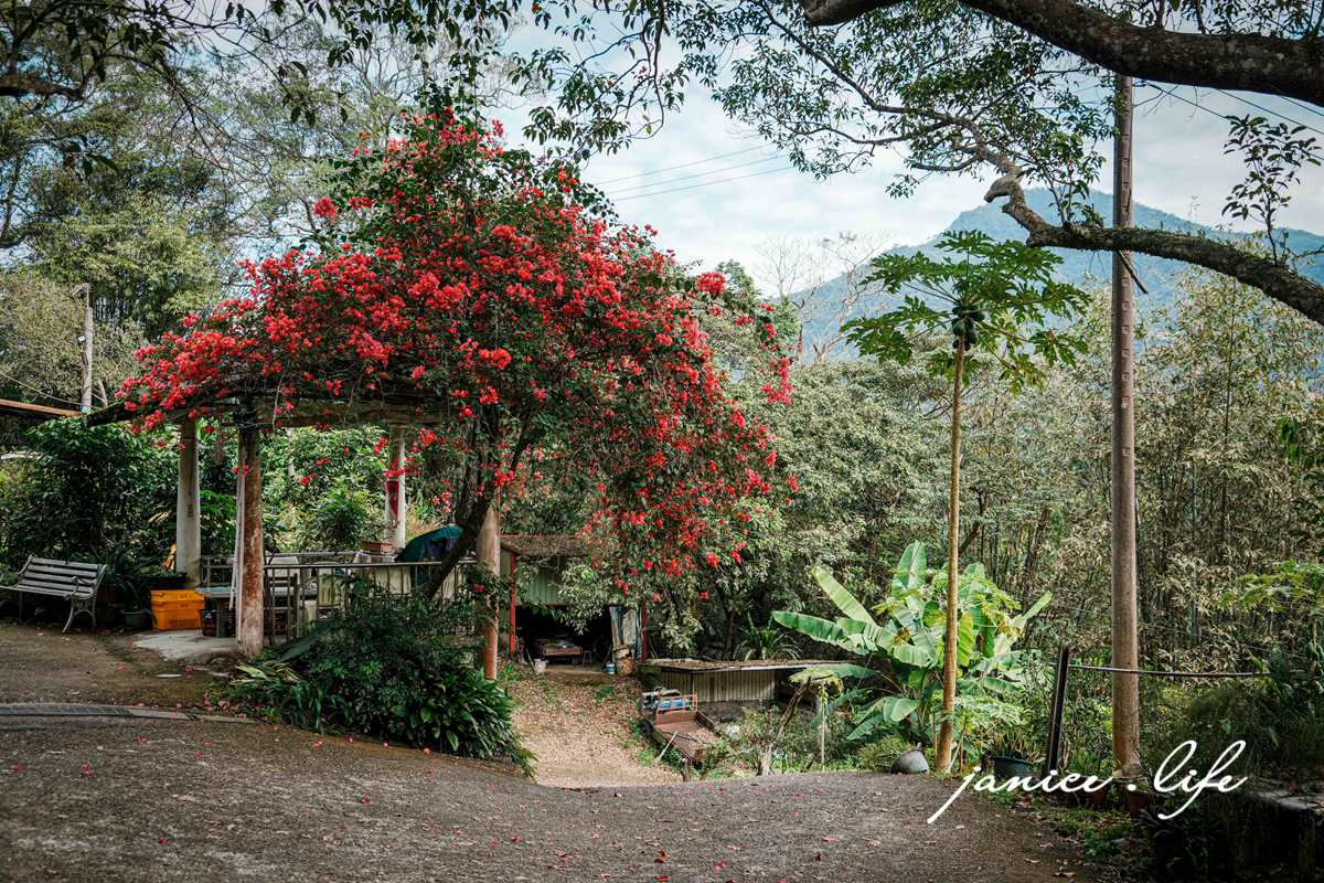 新竹景點 上瑞柑橘觀光果園 新竹橘子 新竹橘子園 新竹縣竹東鎮瑞峰里一鄰一號 新竹橘子品種 新竹砂糖橘 桶柑 海梨柑 茂谷柑 椪柑 潔妮食旅生活
