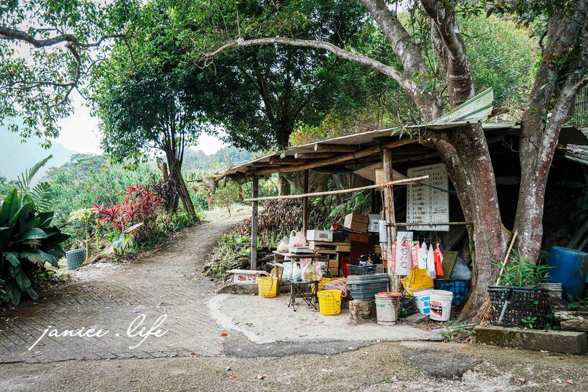 新竹景點 上瑞柑橘觀光果園 新竹橘子 新竹橘子園 新竹縣竹東鎮瑞峰里一鄰一號 新竹橘子品種 新竹砂糖橘 桶柑 海梨柑 茂谷柑 椪柑 潔妮食旅生活