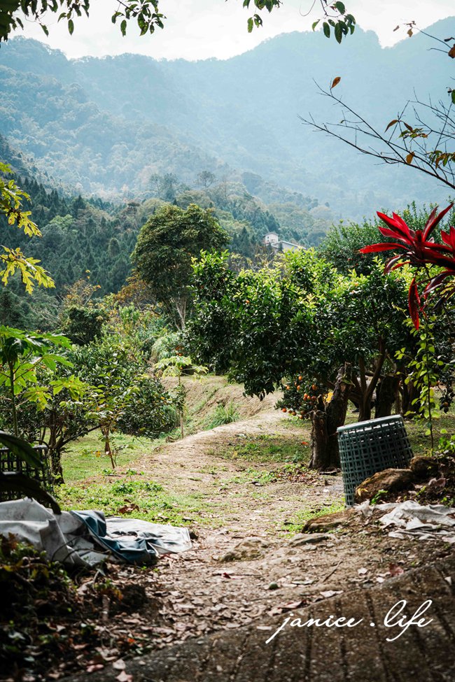 新竹景點 上瑞柑橘觀光果園 新竹橘子 新竹橘子園 新竹縣竹東鎮瑞峰里一鄰一號 新竹橘子品種 新竹砂糖橘 桶柑 海梨柑 茂谷柑 椪柑 潔妮食旅生活