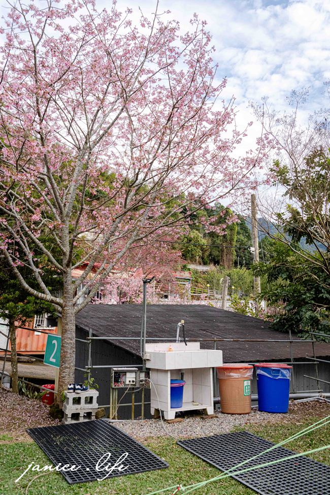 苗栗露營區分享 五鄰休閒露營區 露營區推薦 苗栗縣泰安鄉大興村5鄰42號 五鄰休閒露營區交通 五鄰休閒露營區位置 愛露營 潔妮食旅生活