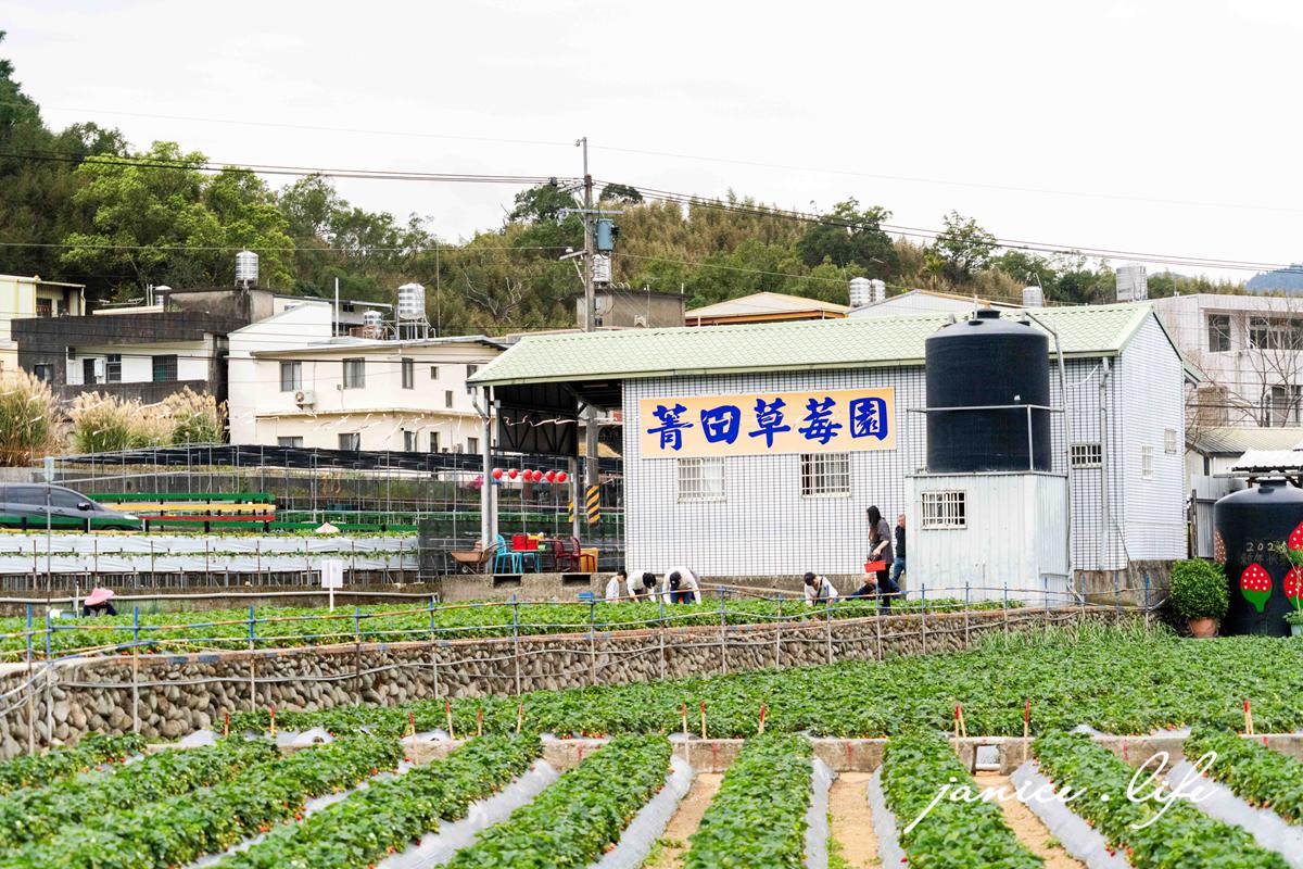 苗栗大湖採草莓 菁田草莓園 苗栗縣大湖鄉四鄰49之8號 0912392733 苗栗草莓季 苗栗草莓推薦 苗栗採草莓月份 大湖草莓季 潔妮食旅生活 苗栗旅遊 苗栗景點 