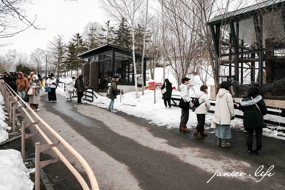 北海道親子景點 北海道旭川 北海道旅遊 旭山動物園 旭山動物園門票交通 旭山動物園開放時間 潔妮食旅生活 冬天旭山動物園 北海道旭川市東旭川町倉沼 旭川市旭山動物園 Asahiyama Zoo 旭山動物園園園區地圖 旭山動物園停車資訊