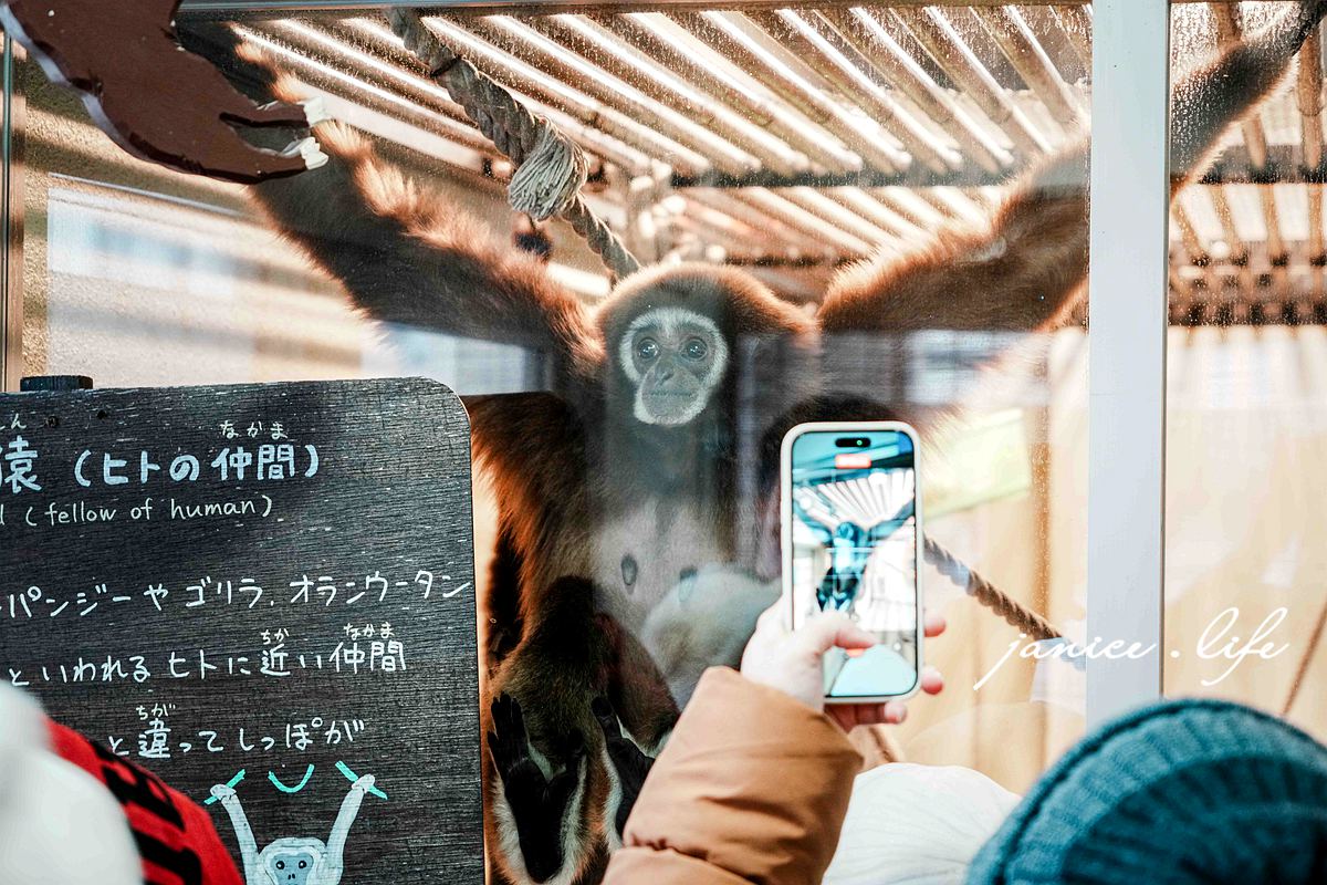 北海道親子景點 北海道旭川 北海道旅遊 旭山動物園 旭山動物園門票交通 旭山動物園開放時間 潔妮食旅生活 冬天旭山動物園 北海道旭川市東旭川町倉沼 旭川市旭山動物園 Asahiyama Zoo 旭山動物園園園區地圖 旭山動物園停車資訊