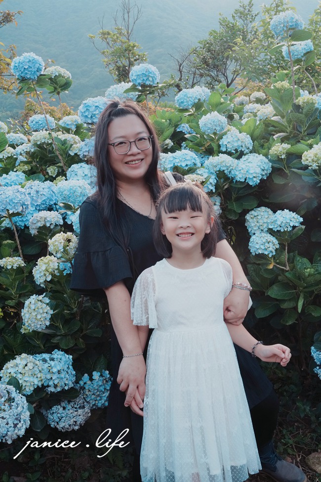 陽明山景點 高家繡球花田水尾第二園區 繡球花 臺北市北投區竹子湖路 高家繡球花田門票 高家繡球花田位置  竹子湖繡球花 陽明山繡球花 高家繡球花田 竹子湖高家第二園區 高家繡球花交通 竹子湖繡球花管制 陽明山繡球花花況 潔妮食旅生活 台北旅遊 陽明山旅遊 gao-hydrangea-park 高家繡球花田水尾第二園區巨大花牆