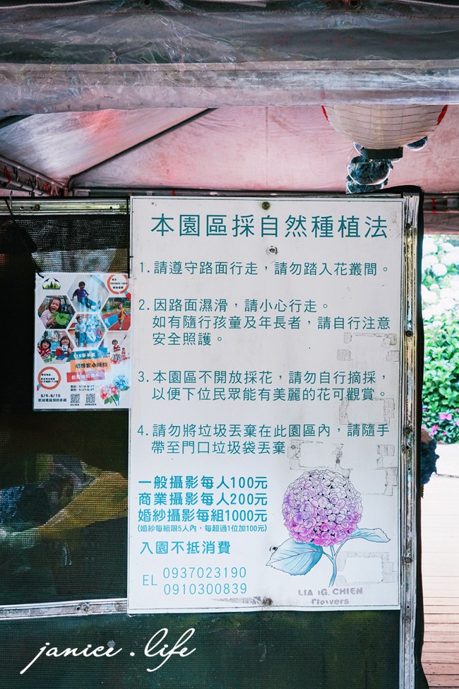 陽明山景點|高家繡球花田水尾第二園區|走進夢幻繡球花迷宮.今夏最浪漫的洗版IG聖地! - 第2張圖 陽明山景點 高家繡球花田水尾第二園區 繡球花 臺北市北投區竹子湖路 高家繡球花田門票 高家繡球花田位置 竹子湖繡球花 陽明山繡球花 高家繡球花田 竹子湖高家第二園區 高家繡球花交通 竹子湖繡球花管制 陽明山繡球花花況 潔妮食旅生活 台北旅遊 陽明山旅遊 gao-hydrangea-park 高家繡球花田水尾第二園區巨大花牆