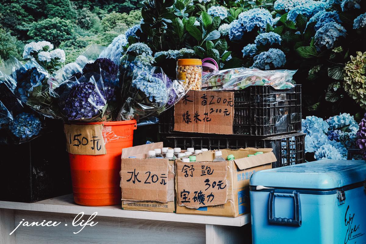 陽明山景點|高家繡球花田水尾第二園區|走進夢幻繡球花迷宮.今夏最浪漫的洗版IG聖地! - 第7張圖 陽明山景點 高家繡球花田水尾第二園區 繡球花 臺北市北投區竹子湖路 高家繡球花田門票 高家繡球花田位置 竹子湖繡球花 陽明山繡球花 高家繡球花田 竹子湖高家第二園區 高家繡球花交通 竹子湖繡球花管制 陽明山繡球花花況 潔妮食旅生活 台北旅遊 陽明山旅遊 gao-hydrangea-park 高家繡球花田水尾第二園區巨大花牆