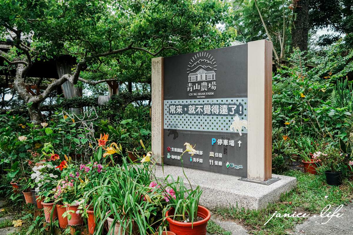 初夏的台東小旅行|青山農場|讓滿山的繡球花,治癒你的日常疲憊 - 第2張圖 青山農場 台東太麻里金針山 繡球花 台東繡球花 台東賞花 賞花景點 潔妮食旅生活 台東景點 台東旅遊
