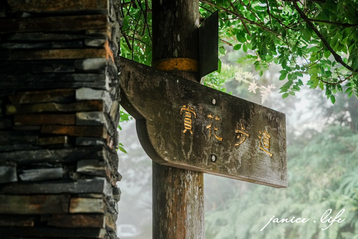 初夏的台東小旅行|青山農場|讓滿山的繡球花,治癒你的日常疲憊 - 第3張圖 青山農場 台東太麻里金針山 繡球花 台東繡球花 台東賞花 賞花景點 潔妮食旅生活 台東景點 台東旅遊