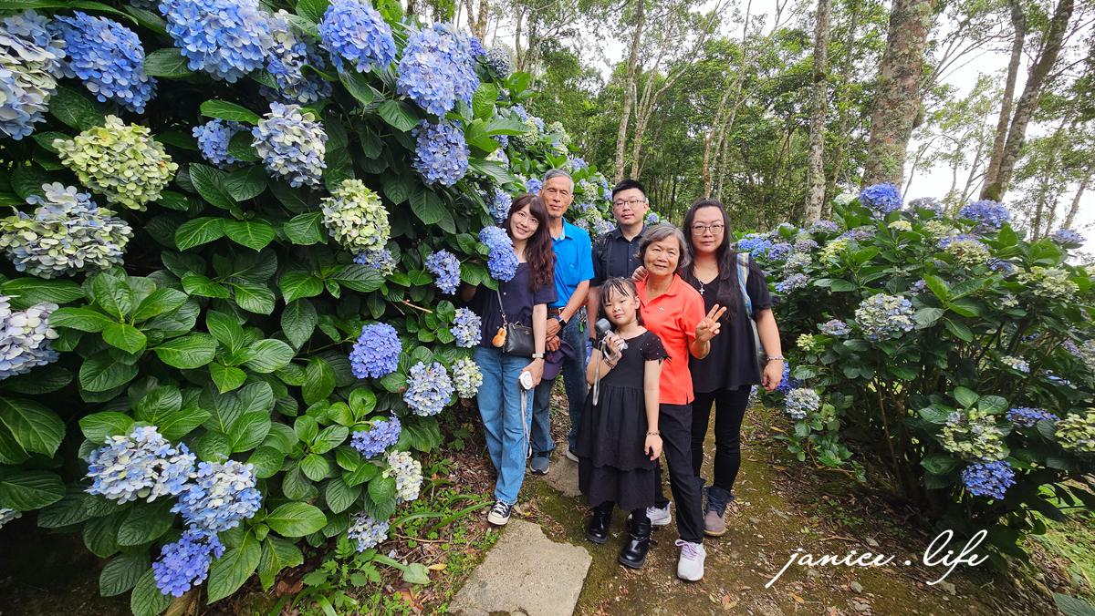 青山農場 台東太麻里金針山 繡球花 台東繡球花 台東賞花 賞花景點 潔妮食旅生活 台東景點 台東旅遊