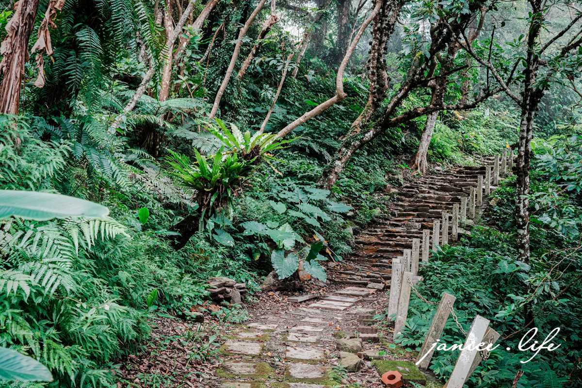 青山農場 台東太麻里金針山 繡球花 台東繡球花 台東賞花 賞花景點 潔妮食旅生活 台東景點 台東旅遊