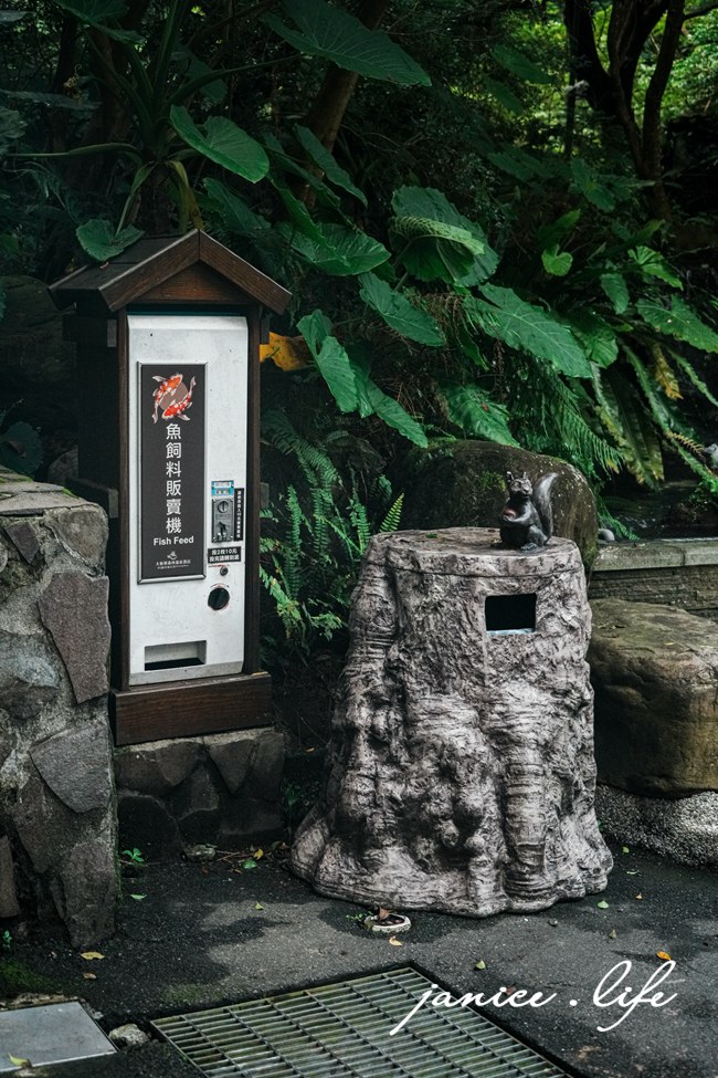 三峽大板根 大板根森林溫泉酒店 大板根 大板根溫泉 大板根太子西餐廳 大板根 buffet 大板根 晚餐 吃到飽 大板根親子 大板根親子課程 大板根一泊二食 大板根一日遊 太子西餐廳 Buffet 三峽旅遊 潔妮食旅生活 三峽景點 親子景點 新北親子景點 錦鯉魚池