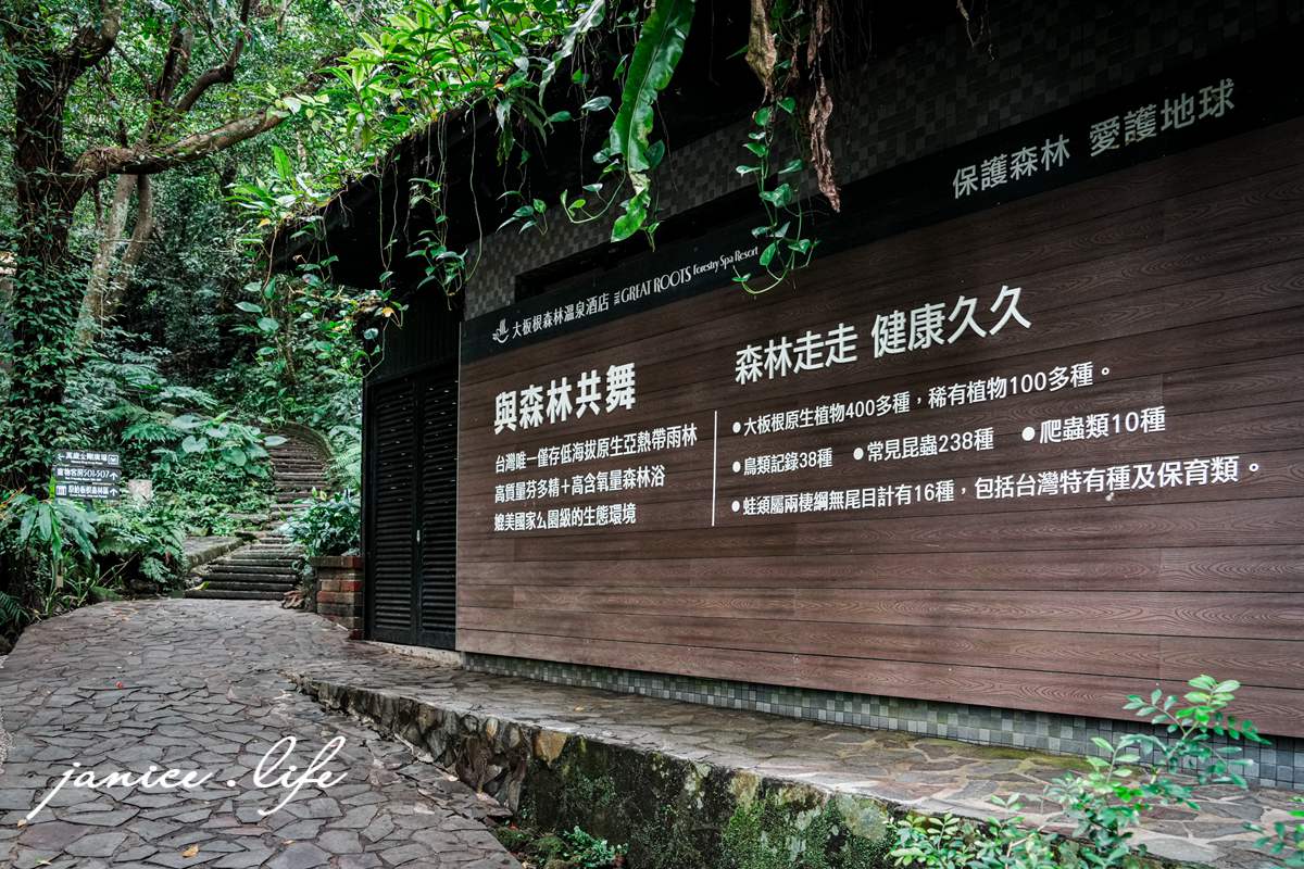 三峽大板根 大板根森林溫泉酒店 大板根 大板根溫泉 大板根太子西餐廳 大板根 buffet 大板根 晚餐 吃到飽 大板根親子 大板根親子課程 大板根一泊二食 大板根一日遊 太子西餐廳 Buffet 三峽旅遊 潔妮食旅生活 三峽景點 親子景點 新北親子景點 亞熱帶雨林板根步道一環步道 