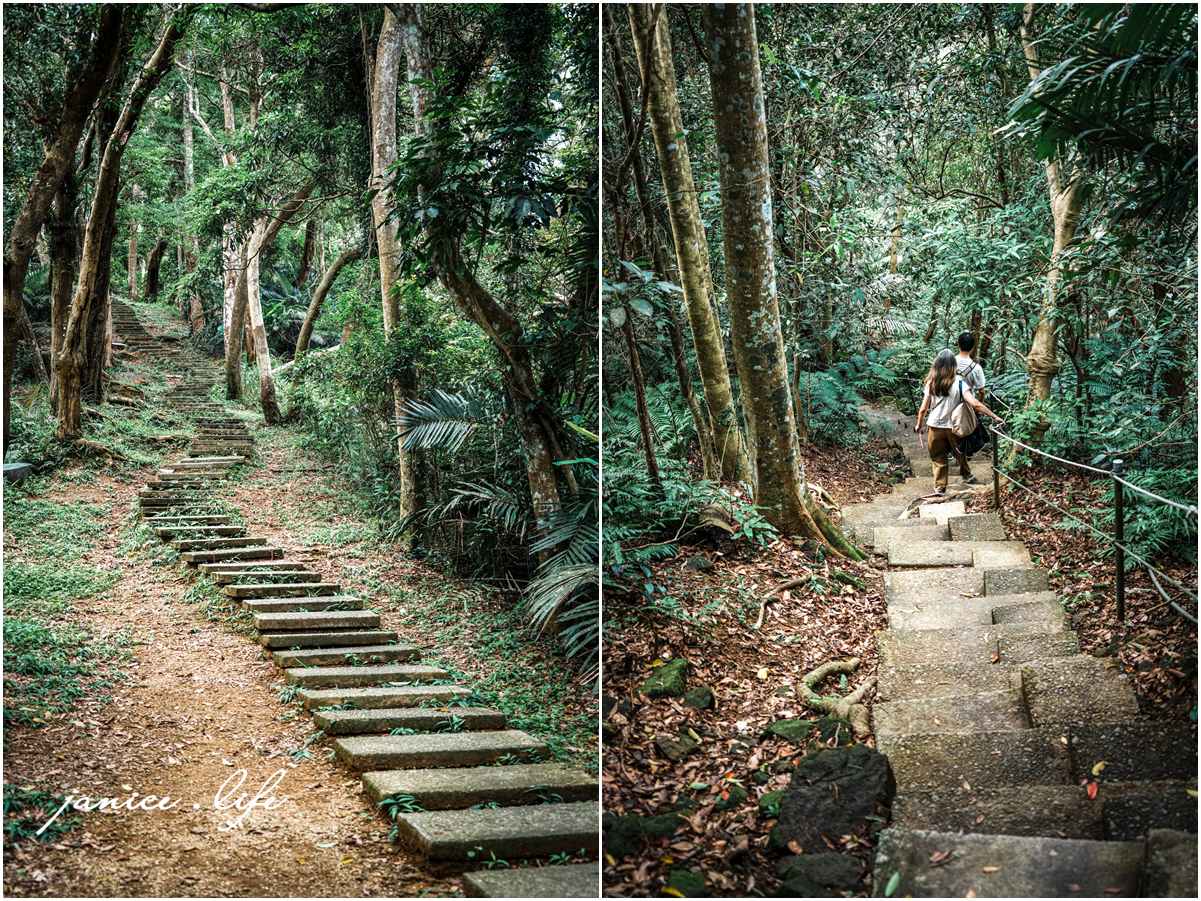 三峽大板根 大板根森林溫泉酒店 大板根 大板根溫泉 大板根太子西餐廳 大板根 buffet 大板根 晚餐 吃到飽 大板根親子 大板根親子課程 大板根一泊二食 大板根一日遊 太子西餐廳 Buffet 三峽旅遊 潔妮食旅生活 三峽景點 親子景點 新北親子景點 亞熱帶雨林板根步道一環步道 