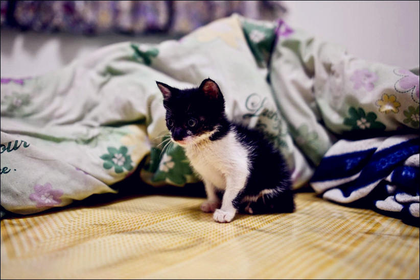 2013-05-08-CC (1).jpg