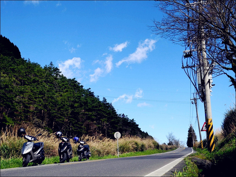 2012-01-18-梨山行 (8).jpg