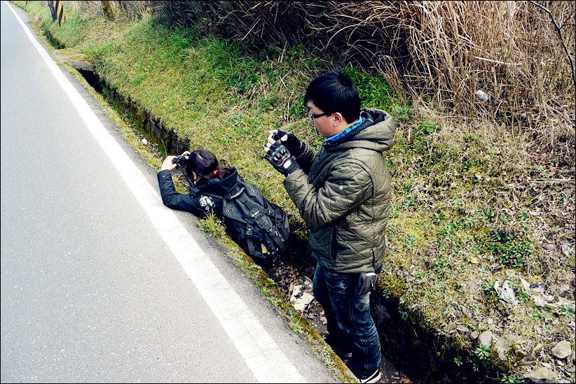 2012-01-18-梨山行 (5).jpg